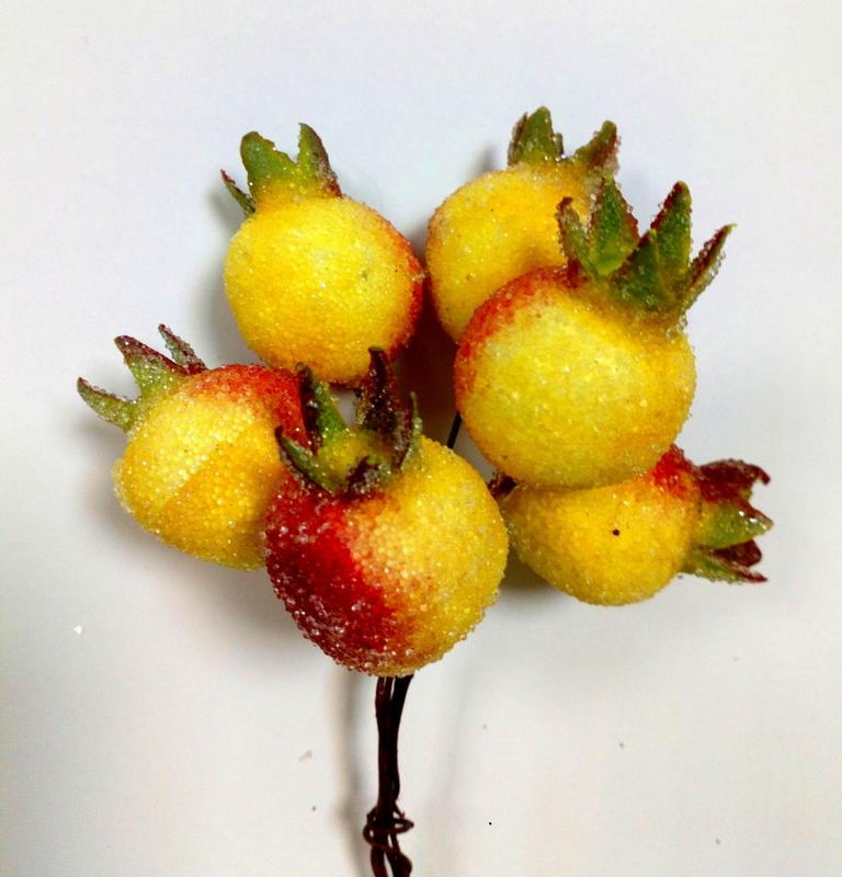 Набор ягод засахаренных на вставках 6 шт,D2*3xL 11 см,(шиповник) KFH13-P1843 в магазине Арт-Леди