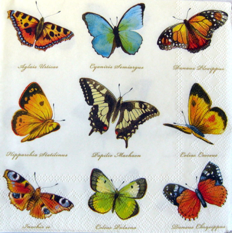Салфетка для декупажа 33х33 см "Collection of Butterflies cream", 1 шт., 13307160 в магазине Арт-Леди