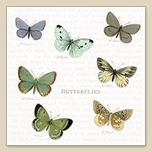 Салфетка для декупажа 25*25 см  Butterflies, SG-86008.1 в магазине Арт-Леди