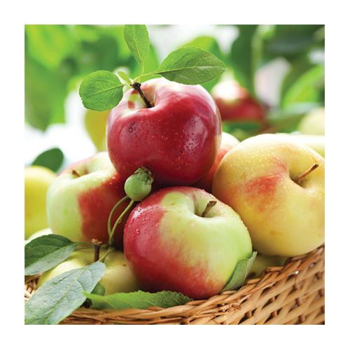 Салфетка для декупаж "Sunny apples" 33х33 см, SDL864000 в магазине Арт-Леди