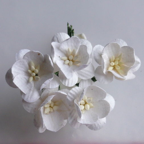 Цветы вишни белые 5 шт./уп.  SAA-056 в магазине Арт-Леди
