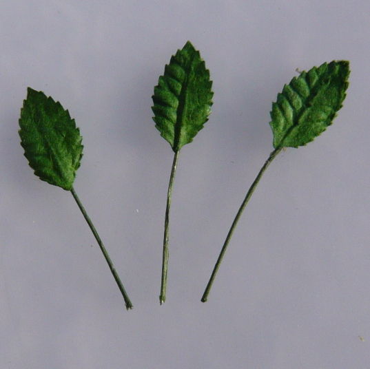 Листья розы зеленые 15 мм, 10 шт/уп. SAA-337 в магазине Арт-Леди