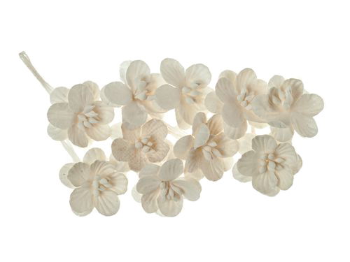 Цветки вишни, набор 10 шт, белый, SCB300201 в магазине Арт-Леди