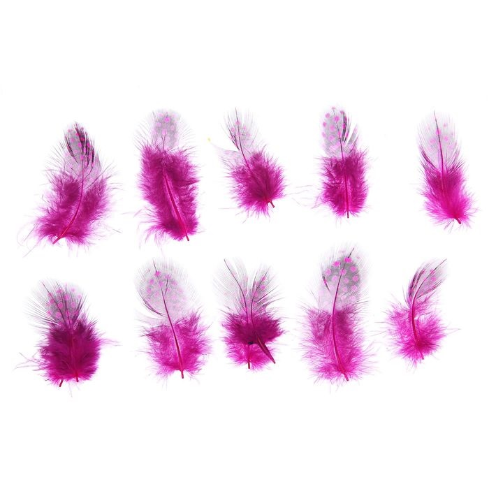 Набор перьев 10 шт., розово-черный в магазине Арт-Леди