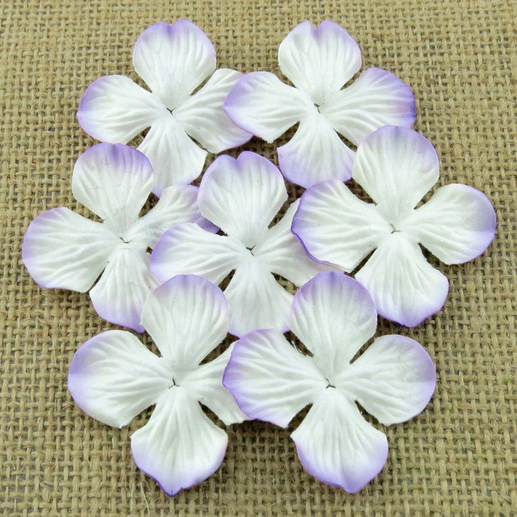 Цветы гортензии 35 мм белые с сирен. краями (10 шт) SAA-399.2 в магазине Арт-Леди